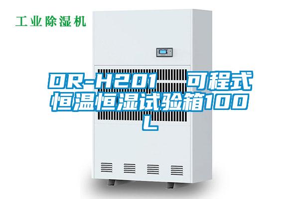 DR-H201  可程式恒温恒湿试验箱100L